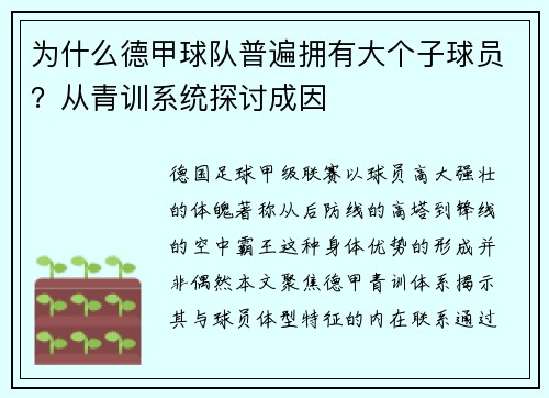 为什么德甲球队普遍拥有大个子球员？从青训系统探讨成因